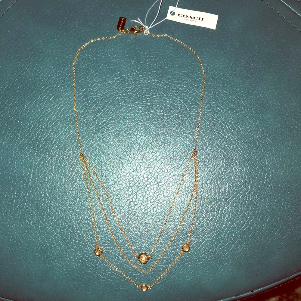 COACH Demi-Fine Sunburst Layered Chain Necklace